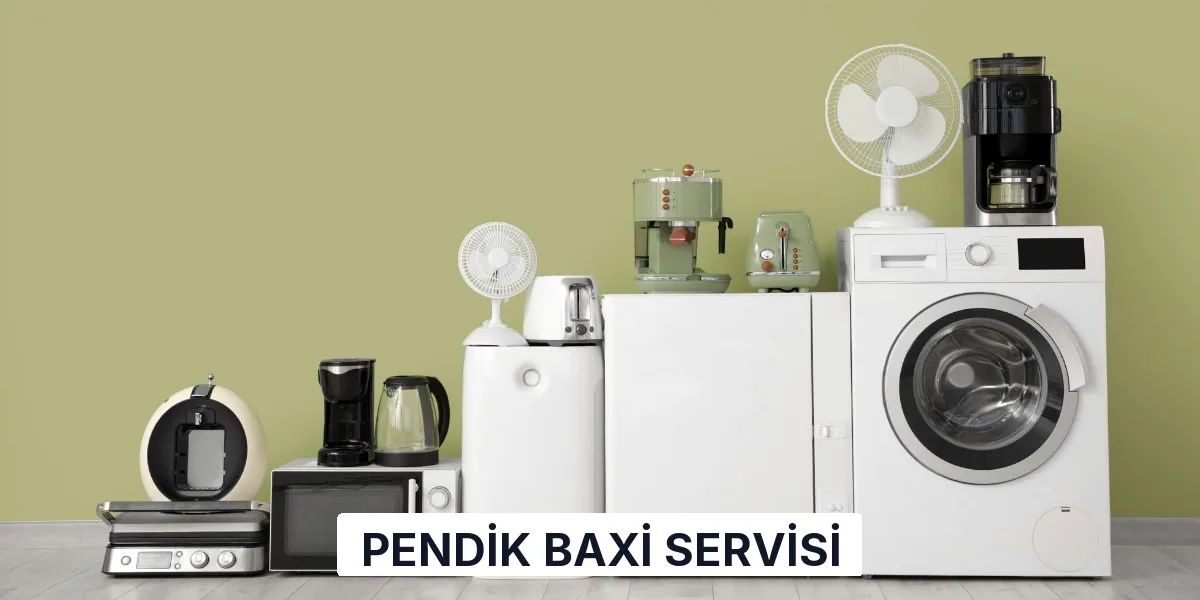 Pendik Baxi Servisi