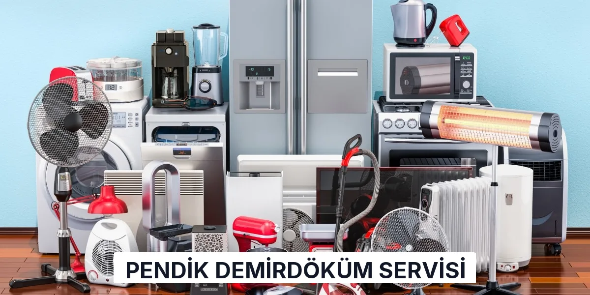 Pendik Demirdöküm Servisi