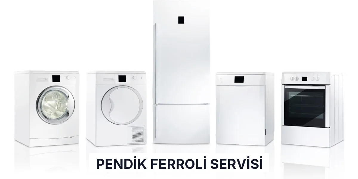 Pendik Ferroli Servisi