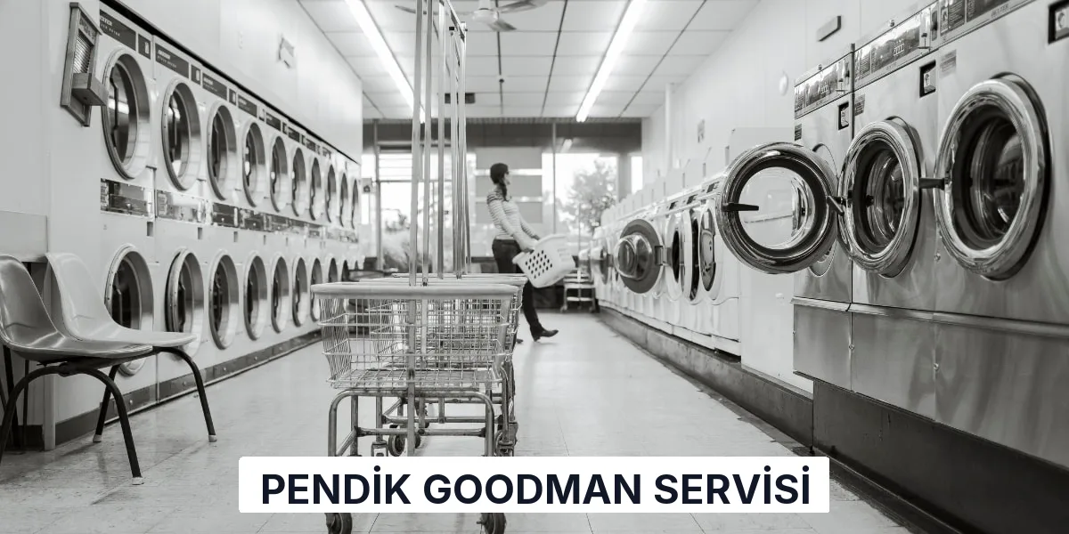 Pendik Goodman Servisi