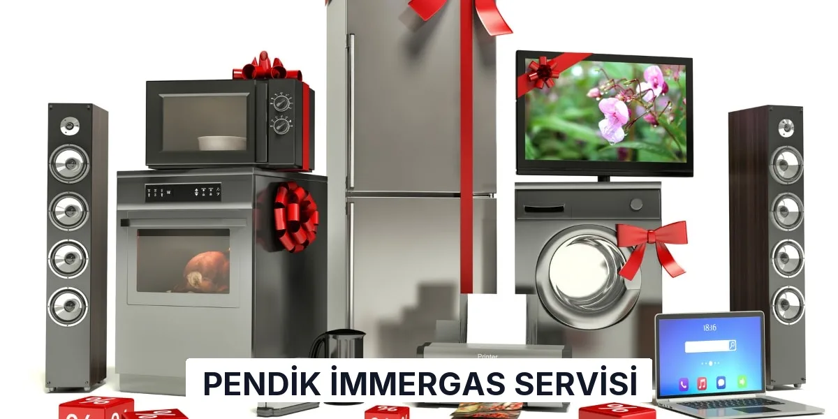 Pendik İmmergas Servisi