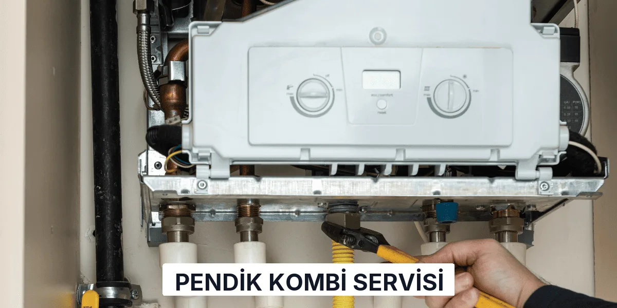 Pendik Kombi Servisi