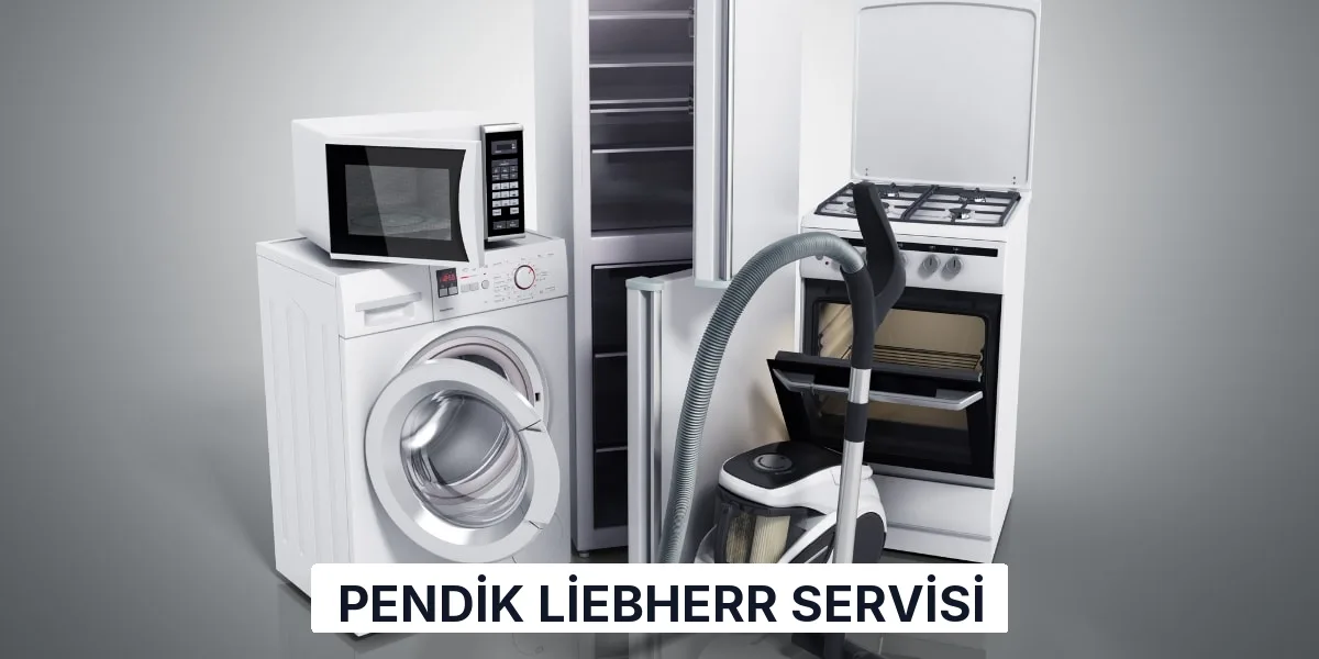 Pendik Liebherr Servisi