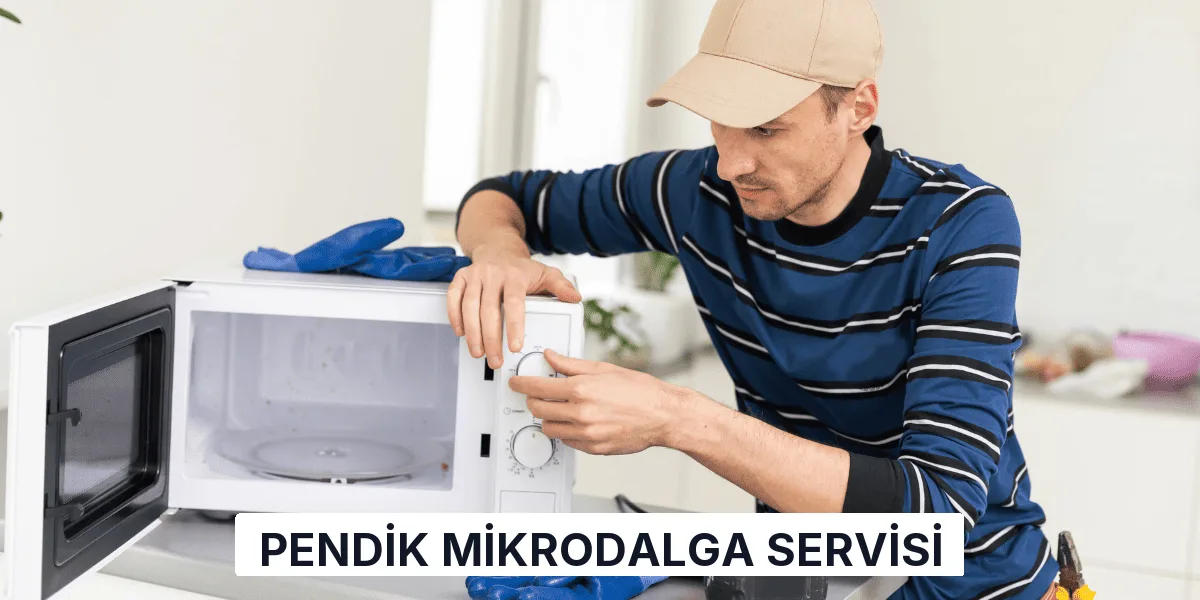Pendik Mikrodalga Servisi