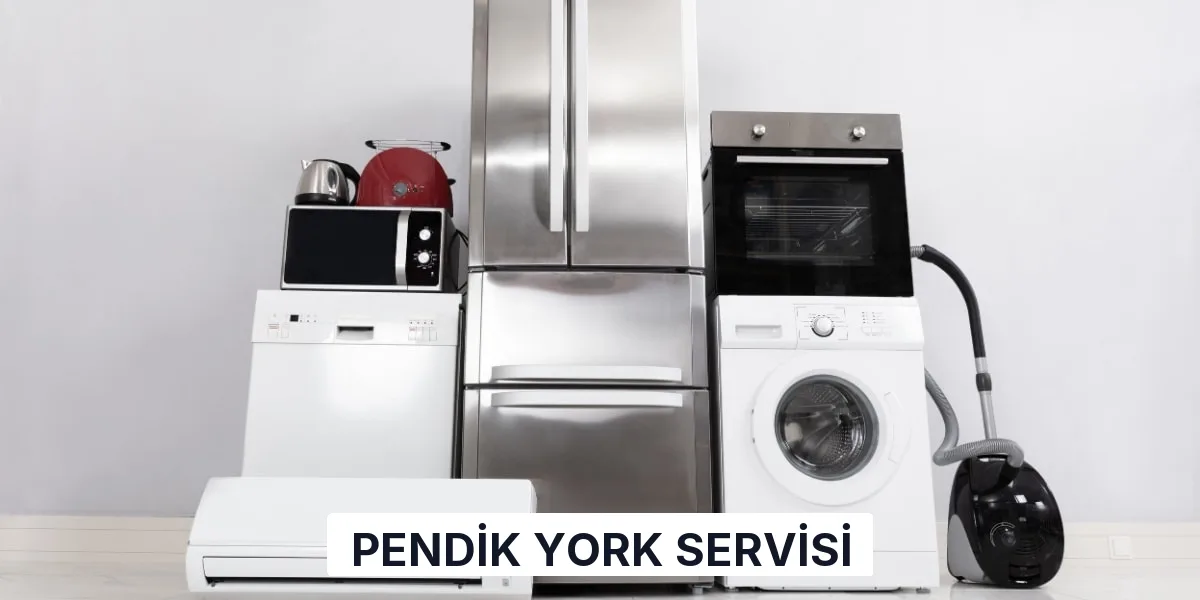 Pendik York Servisi